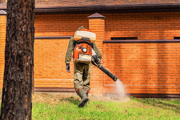 Trusted Ant Control service in Lake Stevens, WA - Nex Pest Control